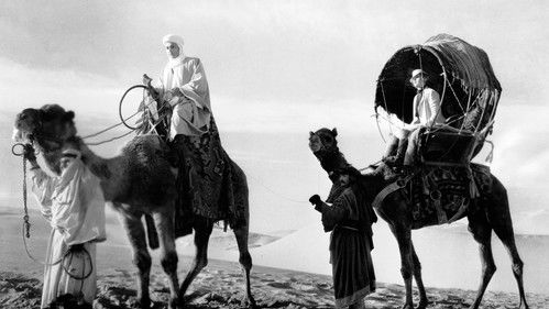 Liebeslied der Wüste Bild 3