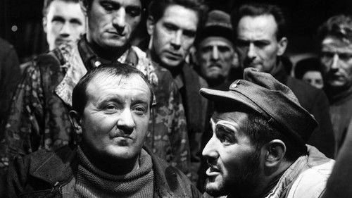 Der Arzt von Stalingrad Bild 1