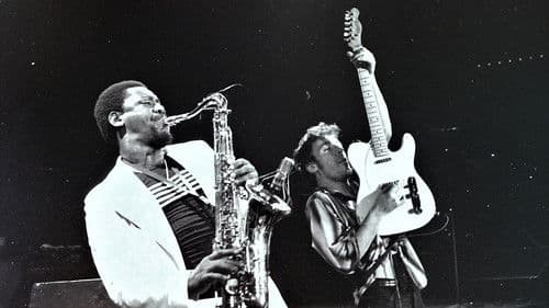 Bruce Springsteen & the E Street Band Houston '78 Bootleg: House Cut Bild 1