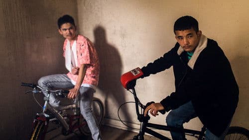 All These Creatures Bild 5