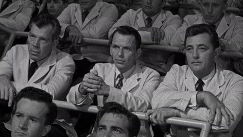 ...und nicht als ein Fremder Bild 3