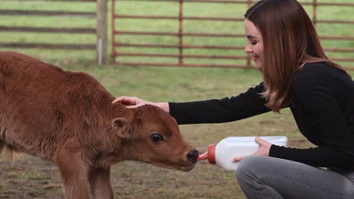 A Feeling of Home Bild 5