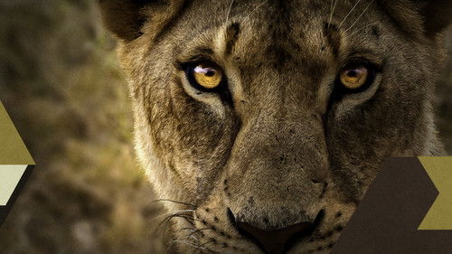 Malika the Lion Queen Bild 1