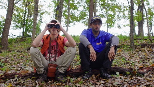 Willie, Jamaley & The Cacacoon Bild 2