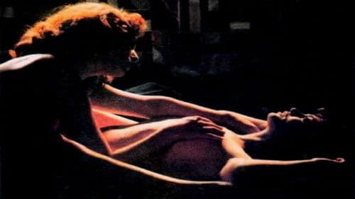 Düş Gezginleri Bild 1