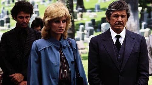 Death Wish 2 - Der Mann ohne Gnade Bild 6