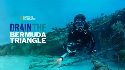 Das Bermuda-Dreieck - Verschollen im Atlantik Bild 3