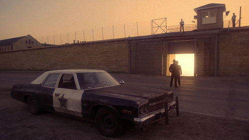 Blues Brothers Bild 2