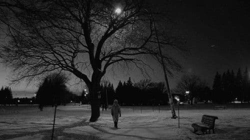 Les flocons de la fin du monde Bild 1