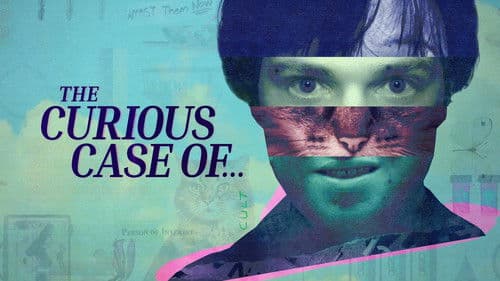 The Curious Case of... Bild 5