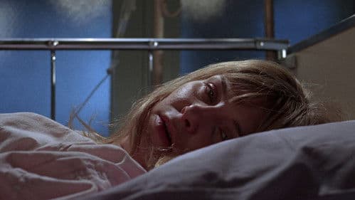 Die Liebe eines Sommers Bild 3