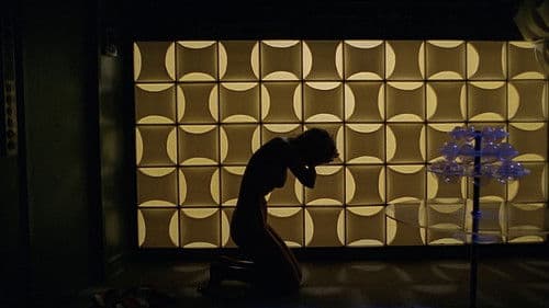 Im Staub der Sterne Bild 4