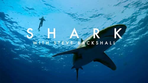 Shark with Steve Backshall Bild 8