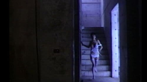 ザ・ハンティング 逃げ狂う女 Bild 1