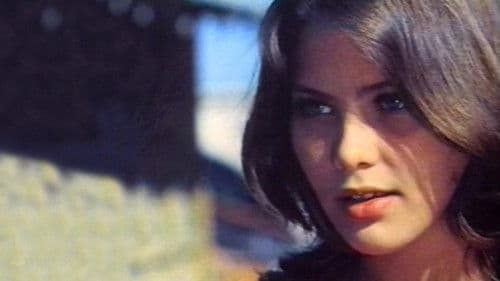 Ein Sommer voller Zärtlichkeit Bild 1