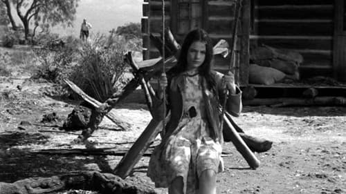 Das junge Mädchen Bild 4