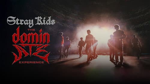 Stray Kids: The dominATE Experience Bild 6
