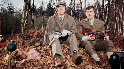 Der Hund von Baskerville Bild 2