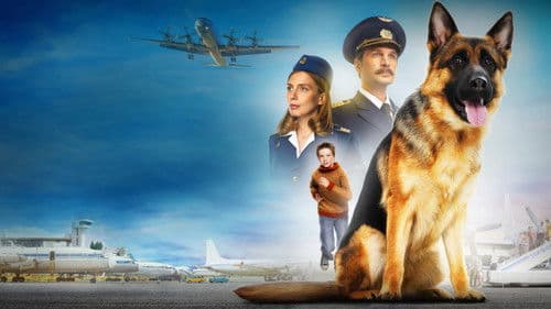 Ein Hund namens Palma Bild 1