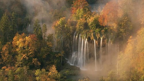 Wild Europe Bild 1
