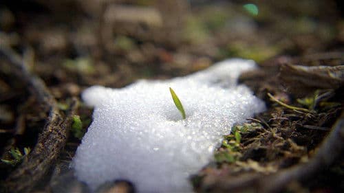 In Search of Balance Bild 1