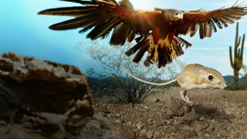 Unsere winzigen Nachbarn Bild 3