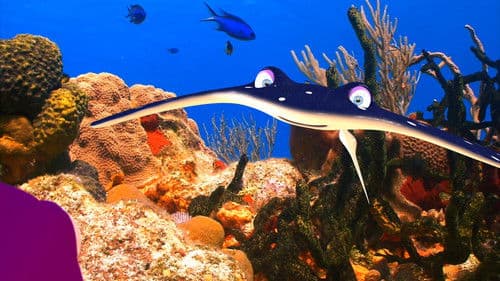 Fishtales - Fakten über Meerestiere Bild 1