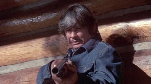 Das Gesetz bin ich Bild 8