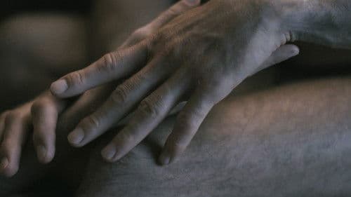 Anatomia di un rapporto Bild 3