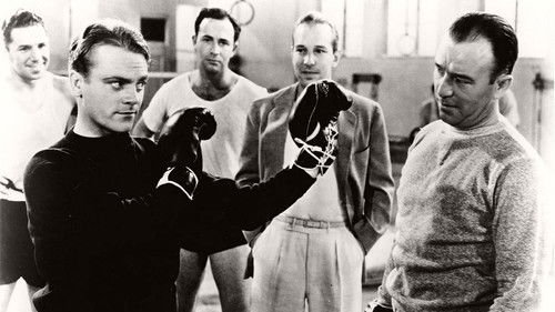 Der FBI-Agent Bild 5