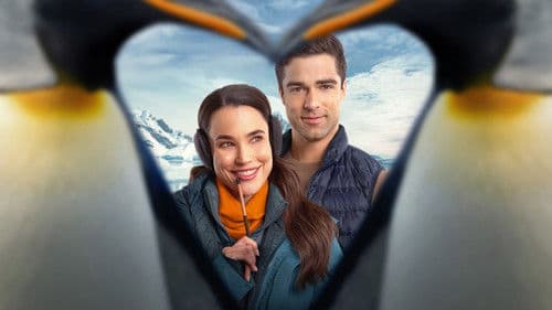 Polar Opposites Bild 1