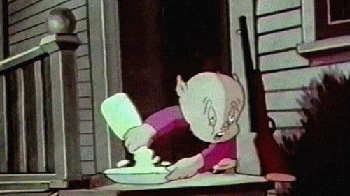 Konzert für Katze und Miau Bild 1