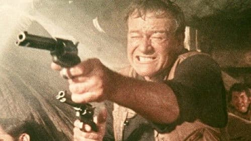 Die vier Söhne der Katie Elder Bild 7