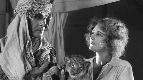 Wüstenrausch Bild 1