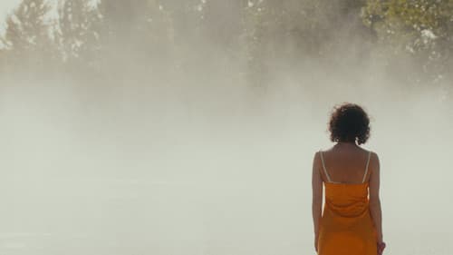 El cuento de una noche de verano Bild 1