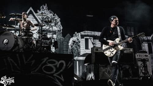 blink-182 Live in Las Vegas Bild 1