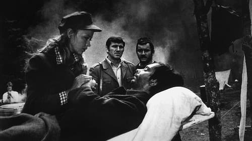 Die fünfte Offensive Bild 2