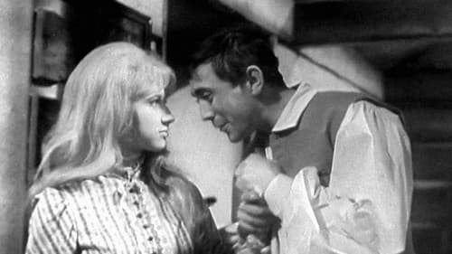 Růžová Anička Bild 1