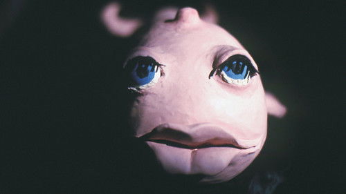 Petites Z'escapades Bild 5