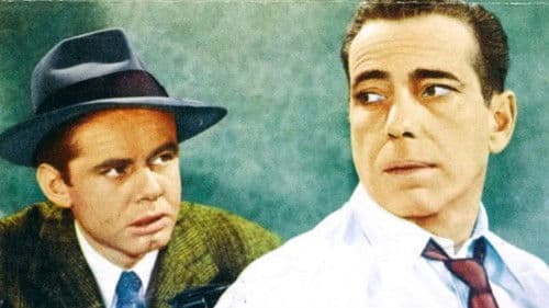 Die schwarze Natter Bild 8