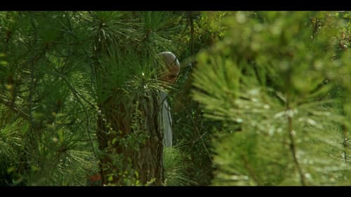 סוקצסיה Bild 4