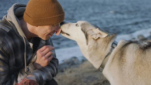 The Year of the Dog Bild 4