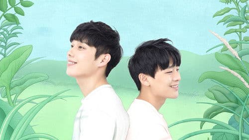 기울어진 여름 Bild 3