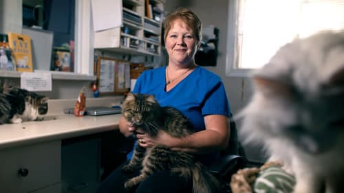 You Are Here: A Come From Away Story Bild 2