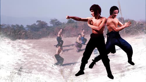 洪拳與詠春 Bild 1