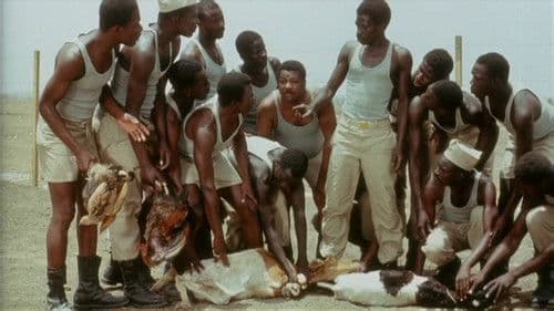 Camp de Thiaroye Bild 5