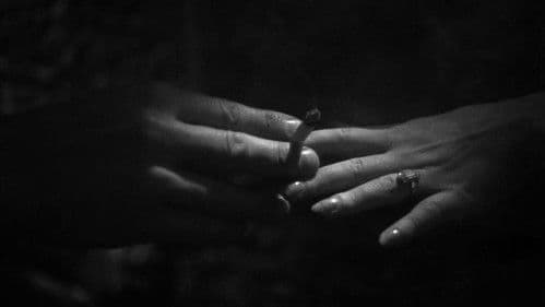 Ich weiß wohin ich gehe Bild 7