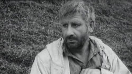 დიდი მწვანე ველი Bild 1