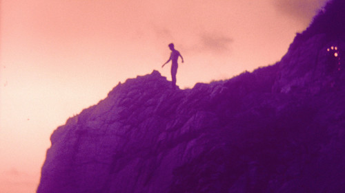 Polycephaly in D Bild 1