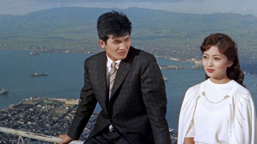 ギターを持った渡り鳥 Bild 3